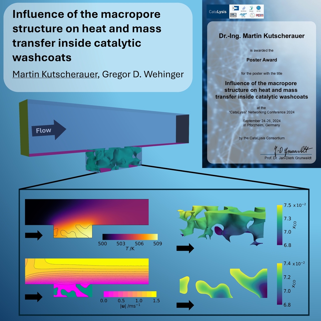 Influence of the macropore structure on heat and mass transfer inside catalytic washcoats